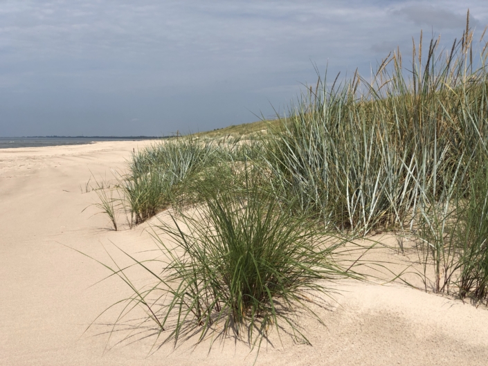 Dünenlandschaft Nica - Liepaja