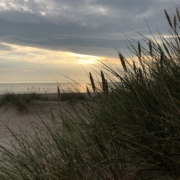 Dünenlandschaft Nica - Liepaja