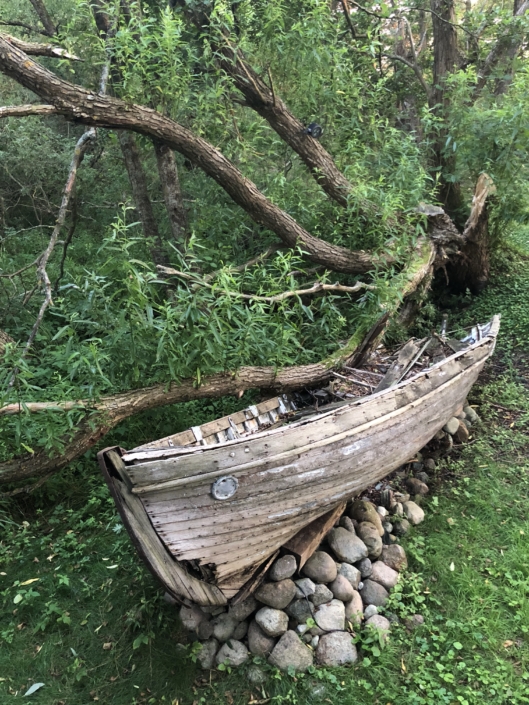 Märchenwald aufm Weg zum Strand