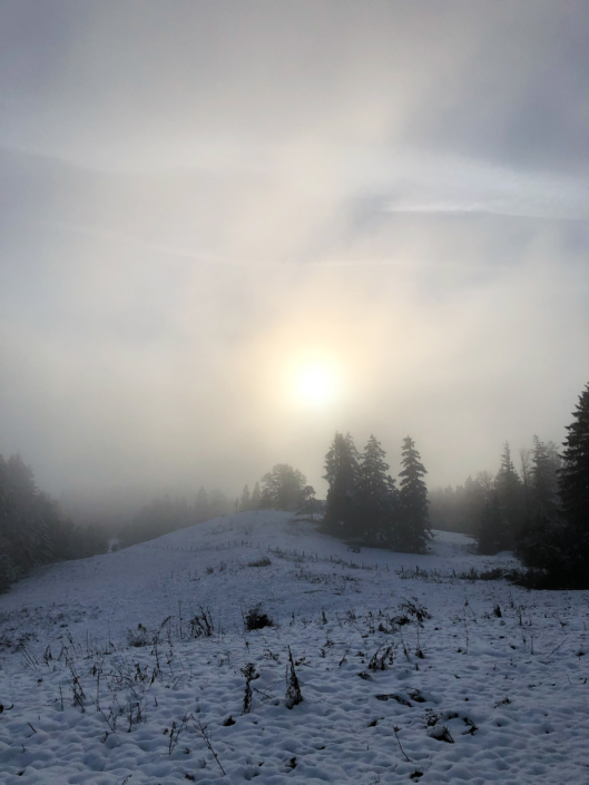 bzw. keine Aussicht